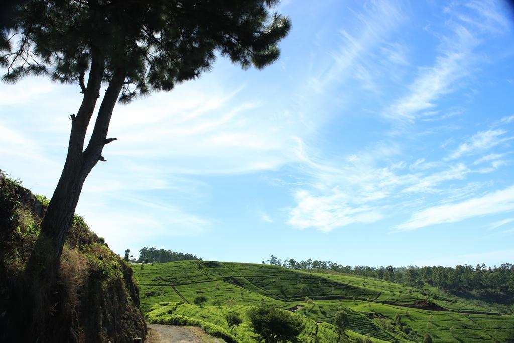 Orient Hotel Bandarawela Eksteriør billede